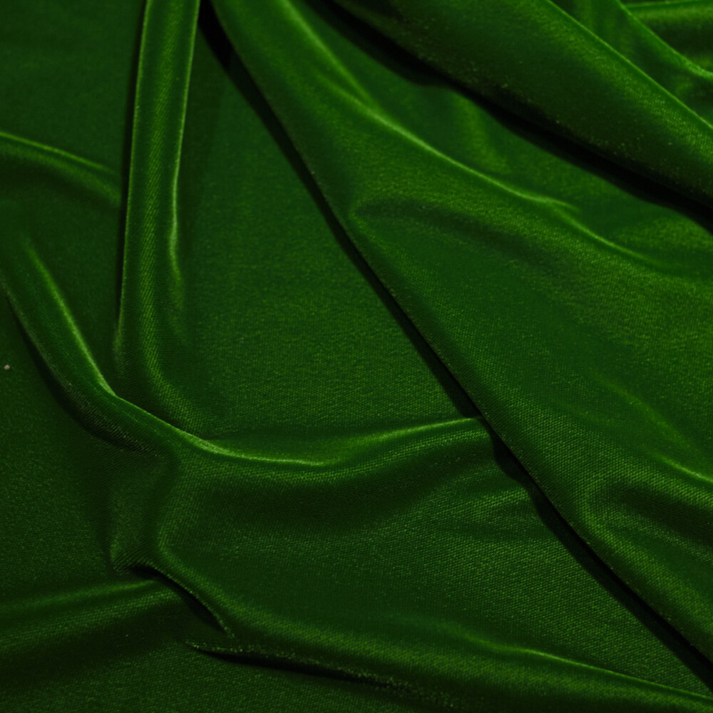 Catifea elastica Verde light