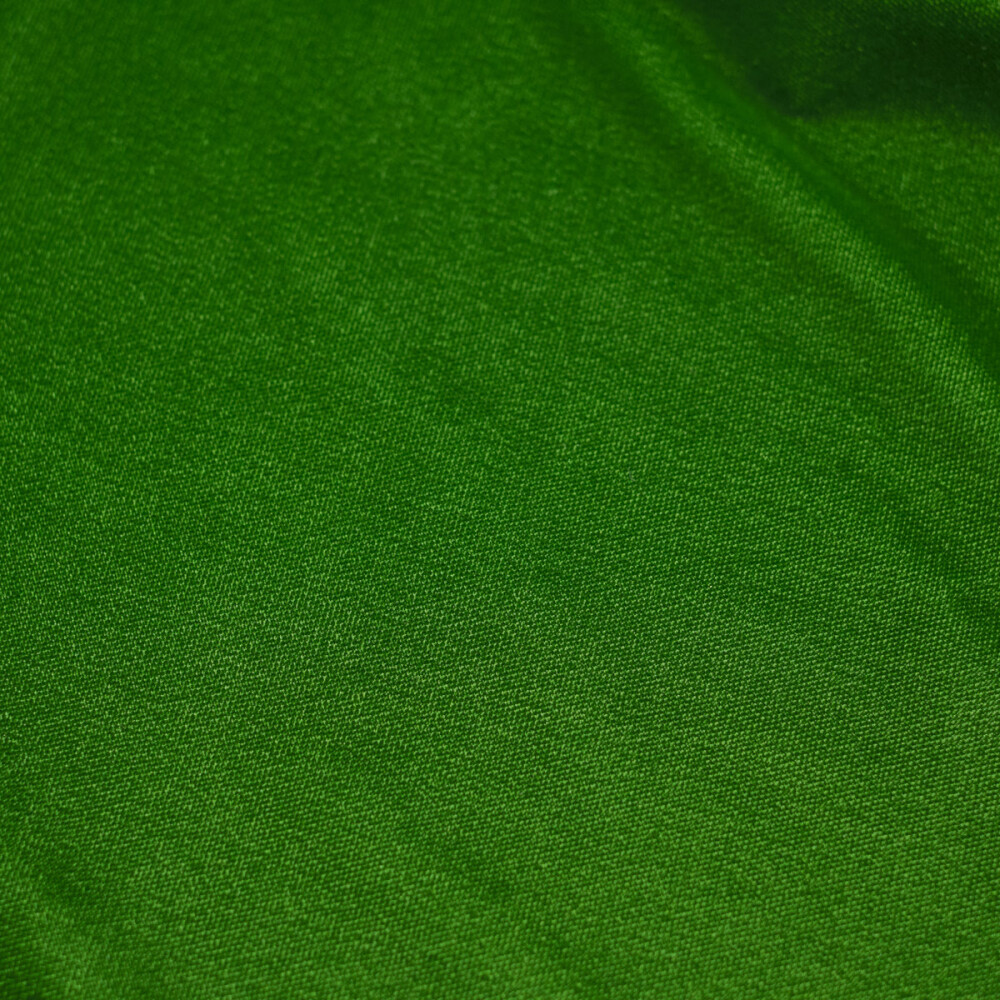 Catifea elastica Verde light