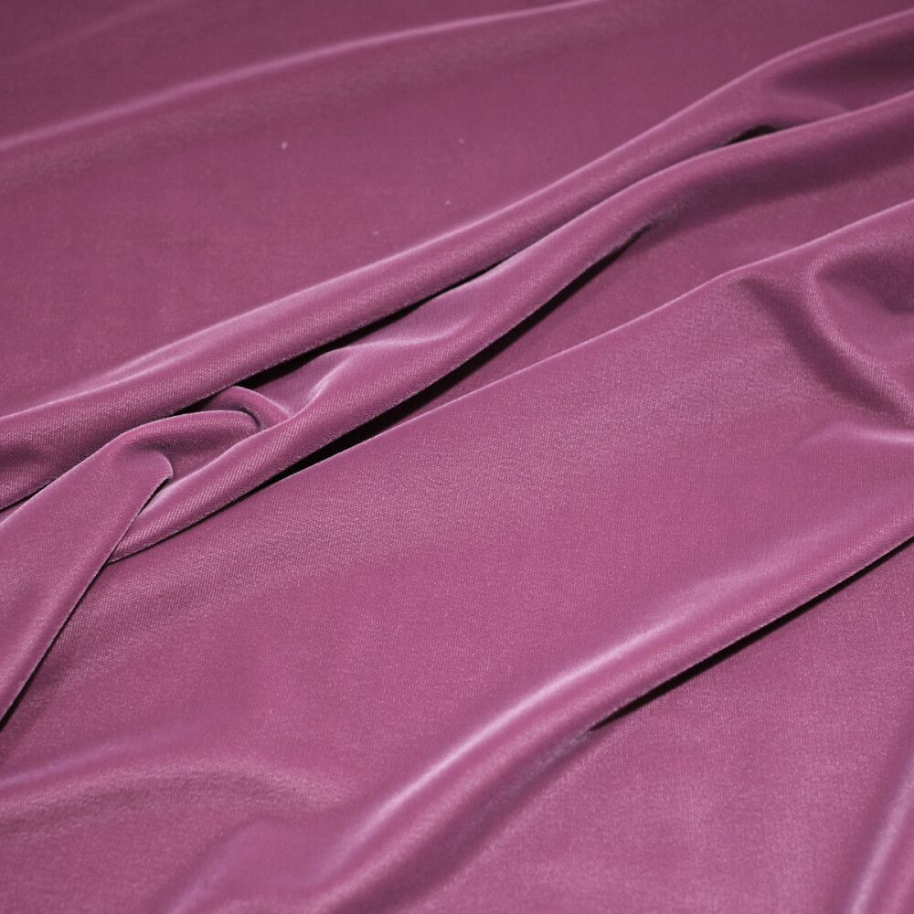 Catifea elastica mauve