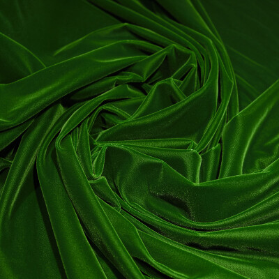 Catifea elastica Verde light