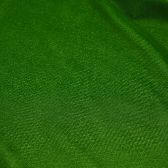 Catifea elastica Verde light