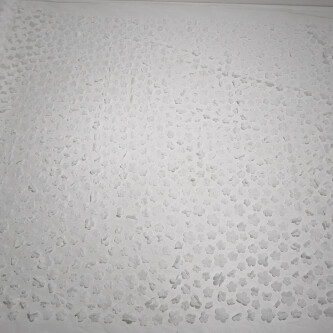 Dantela simpla accesorizata cu floricele 3D Alb